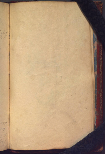 Williams notebook, page 239 [blank]