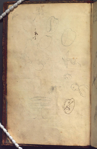 Williams notebook, fly leaf, verso — Calisphere