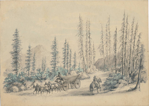 Horses and Wagon in Hills