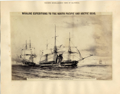 Whaling Expeditions to the North Pacific and Arctic Seas