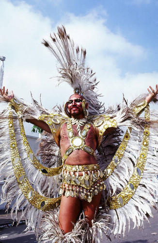 Feathered chief, Beija Flor school