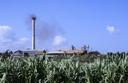 Sugar cane factory