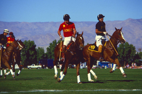 Celebrity polo tournament