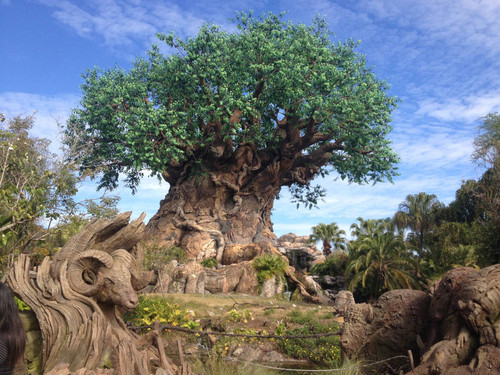 Tree of life