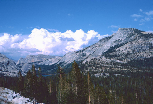 Tenaya Lake