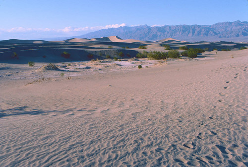 Sand dunes