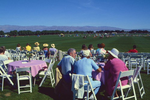 Celebrity polo tournament