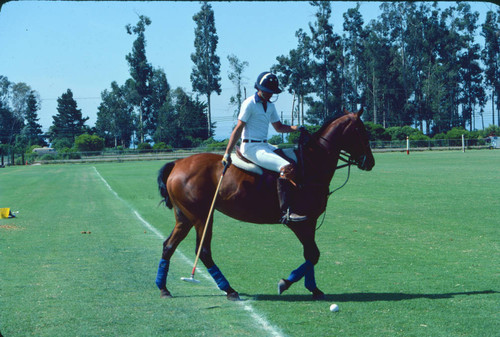 Santa Barbara polo club