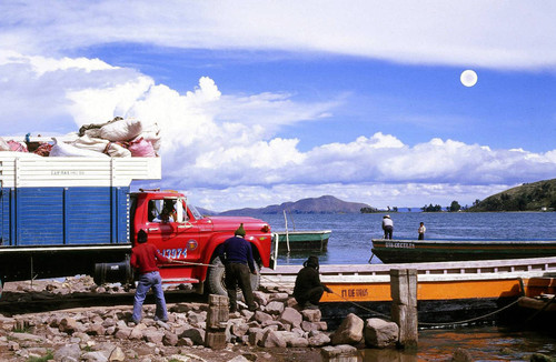 Docked boats