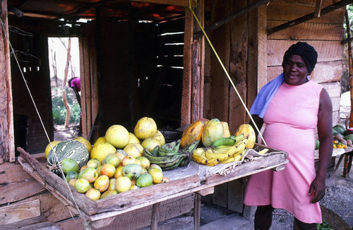 Fruit stand