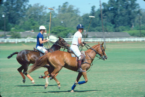 Santa Barbara polo club