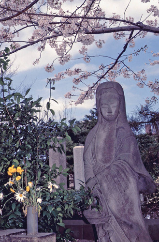 Aoyama Cemetery