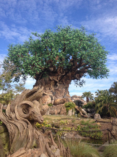 Tree of life