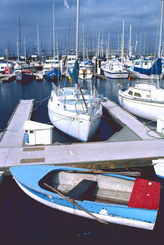 Monterey Harbor