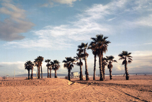 Venice Beach