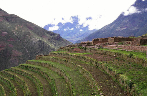 Agricultural terraces