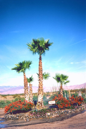 Palm Springs