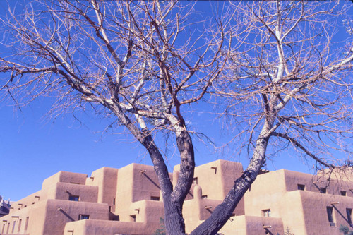 Adobe houses