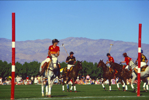 Celebrity polo tournament