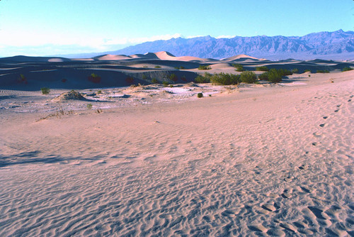 Sand dunes