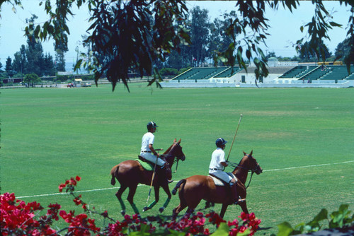 Santa Barbara polo club