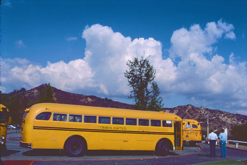 Bus on the road