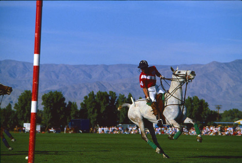 Prince Charles playing polo