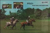 Polo: more than a rich man's game