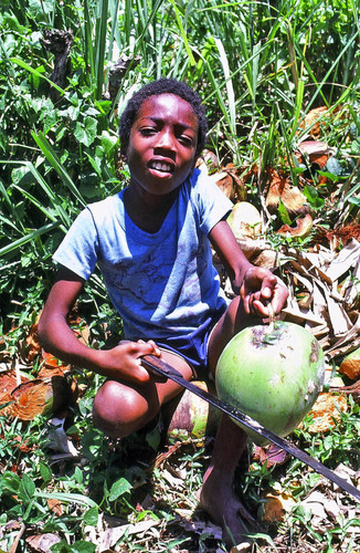 Coconut water