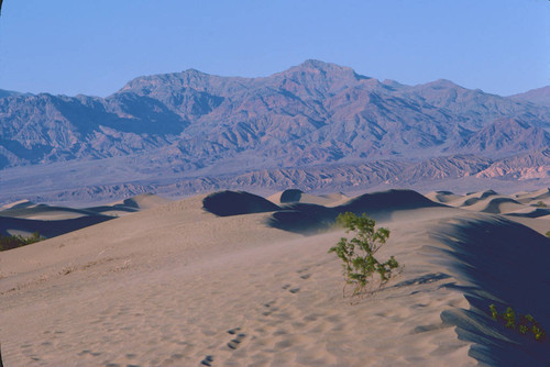 Sand dunes