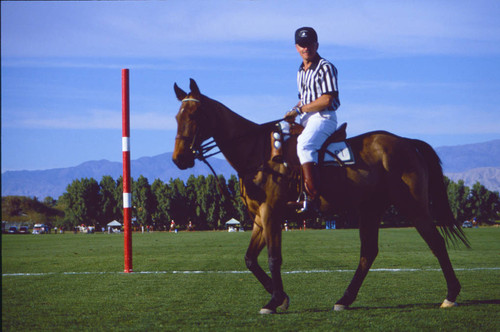 Polo referee