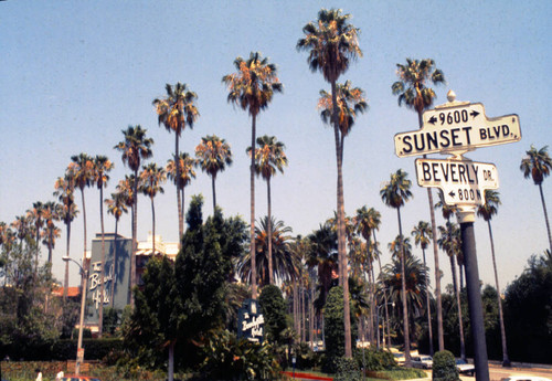 Beverly Hills Hotel