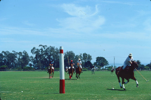 Santa Barbara polo club