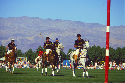 Celebrity polo tournament