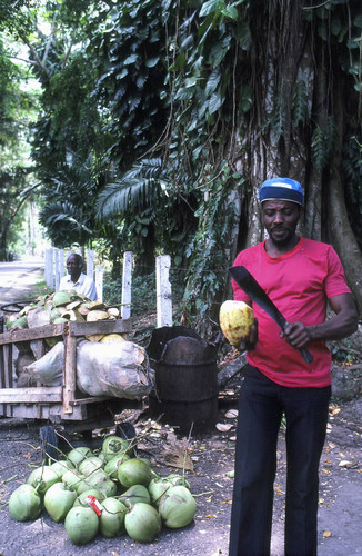 Coconut water