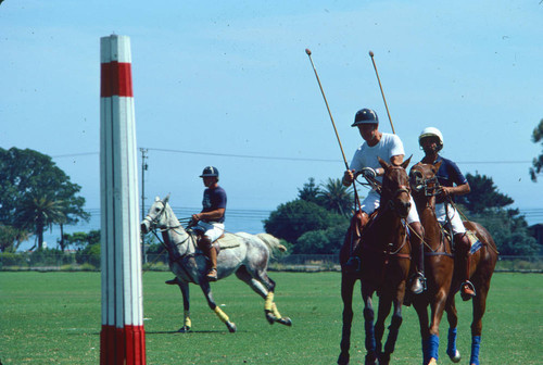 Santa Barbara polo club