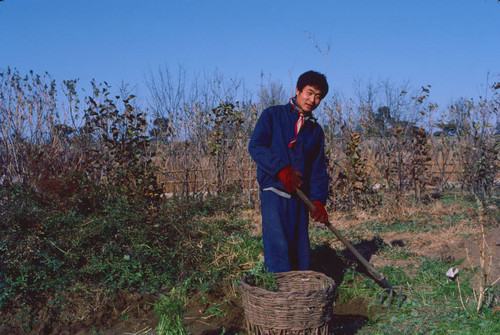 Farmer