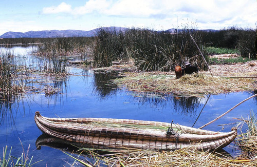 Reed boat