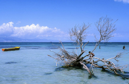 Kingston beach