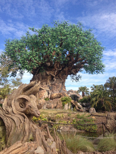 Tree of life