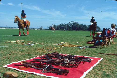 Santa Barbara polo club