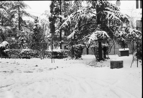 Giardino di Piazza Riccò coperto di neve