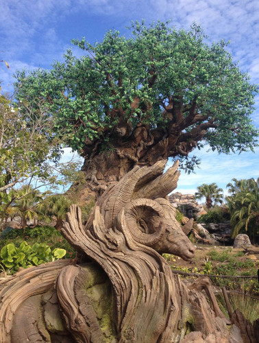 Tree of life