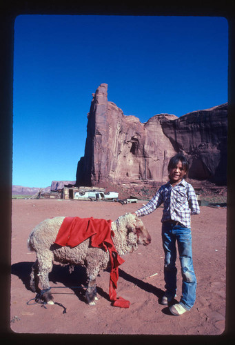 Navajo girl with wounded sheep