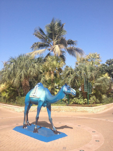 Camel sculpture