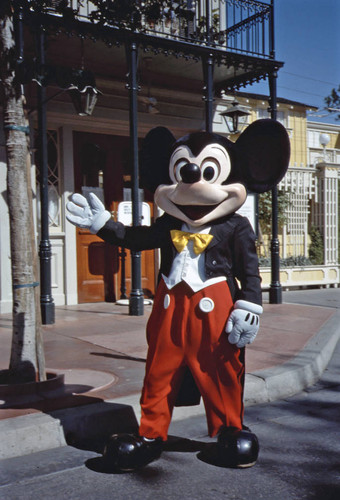 Mickey Mouse costume