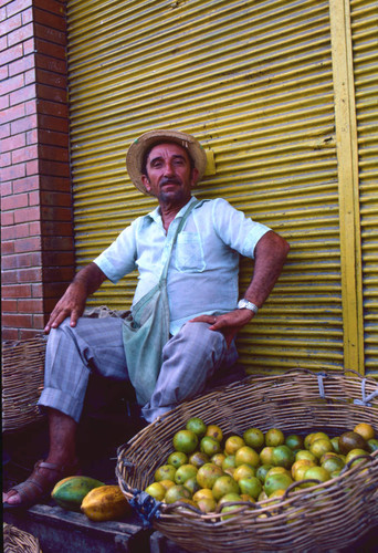 Street vendor