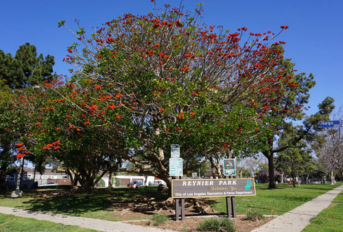 Reynier Park