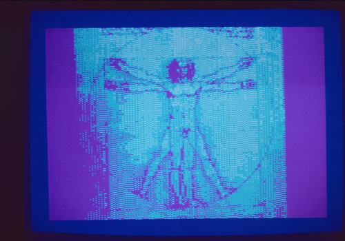 Vitruvian man computer rendering