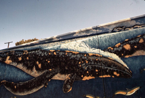 Whale of a Mural